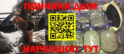 индика Ярославль