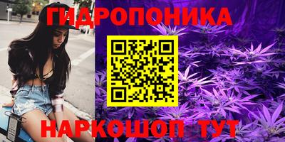 индика Ярославль